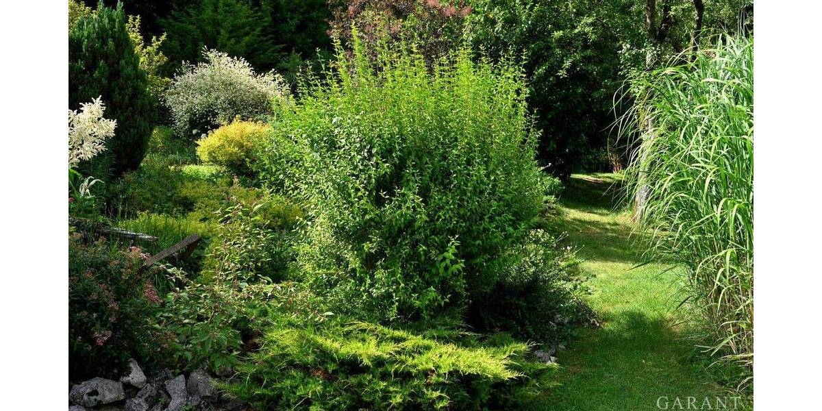 Einfamilienhaus Mühlhausen im Täle Mühlhausen - 4 Zimmer, 246 m&sup2;, 970.000&euro; | Angebot:25781206