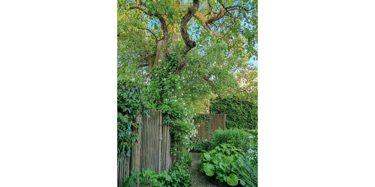 Mehrfamilienhaus, Wohnhaus Böhmenkirch-Steinenkirch Steinenkirch - 9 Zimmer, 215 m&sup2;, 556.000&euro; | Angebot:26016195