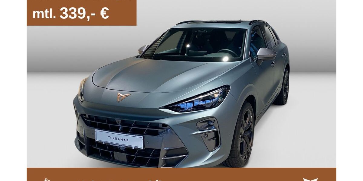 Cupra Terramar 9.999 km 47.960 &euro; Göppingen 73037