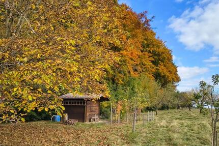 Grundstück Schorndorf - 44.990&euro; | Angebot:25174616