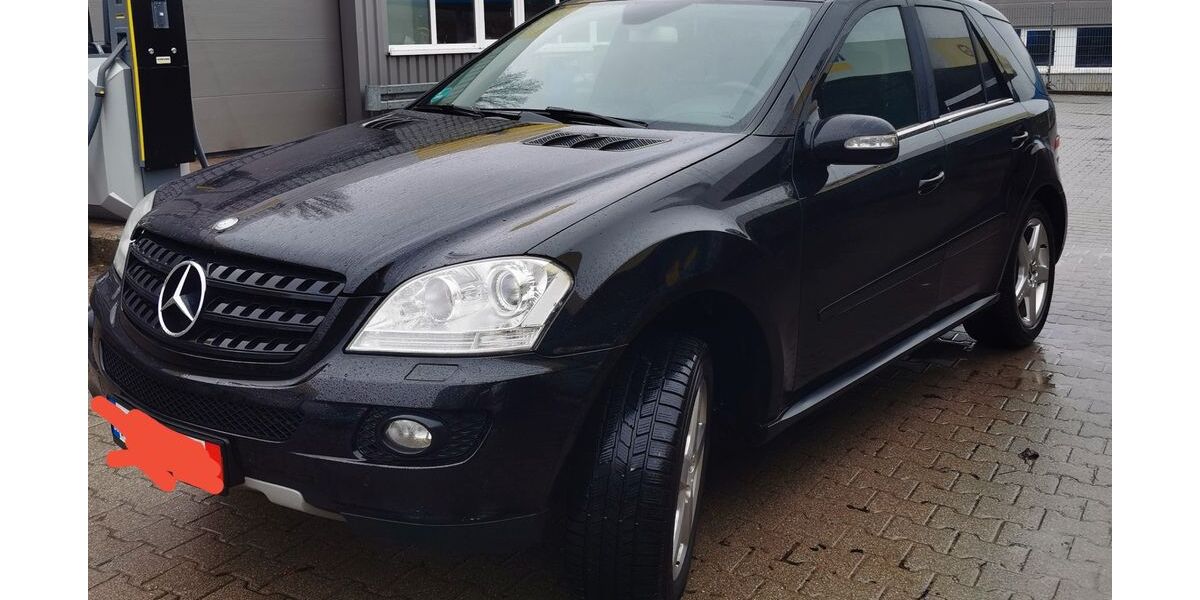 Mercedes-Benz ML 350 228.700 km 8.000 &euro; Althutte 71566
