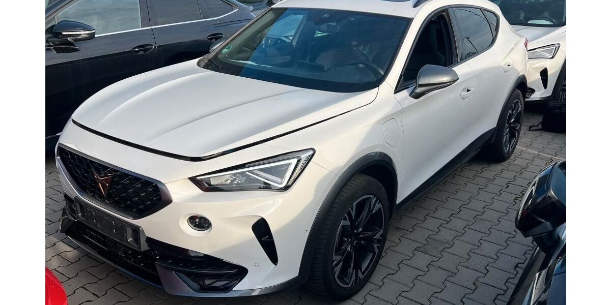 Cupra Formentor 22.139 km 27.990 &euro; Weinstadt 71384