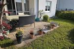Erdgeschoßwohnung Täferrot - 2.5 Zimmer, 58 m&sup2;, 680&euro; | Angebot:26679222