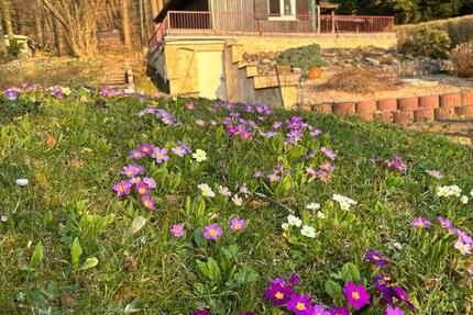 Haus Göggingen - 2 Zimmer, 50 m&sup2;, 160.000&euro; | Angebot:25852838