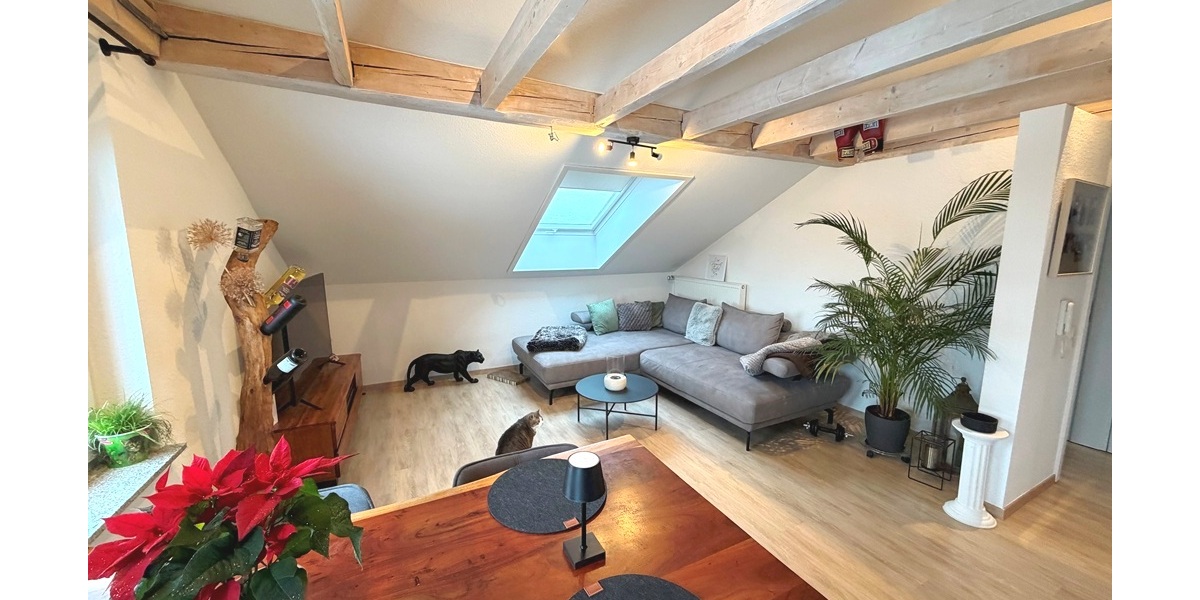 MFH + Gewerbe + 600 m² Bauland §34 BauGB ,Top Rendite möglich - Anlageobjekt Althütte Althütte | Angebot:24776728