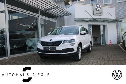 Skoda Karoq 124.898 km 16.940 &euro; Wendlingen am Neckar 73240