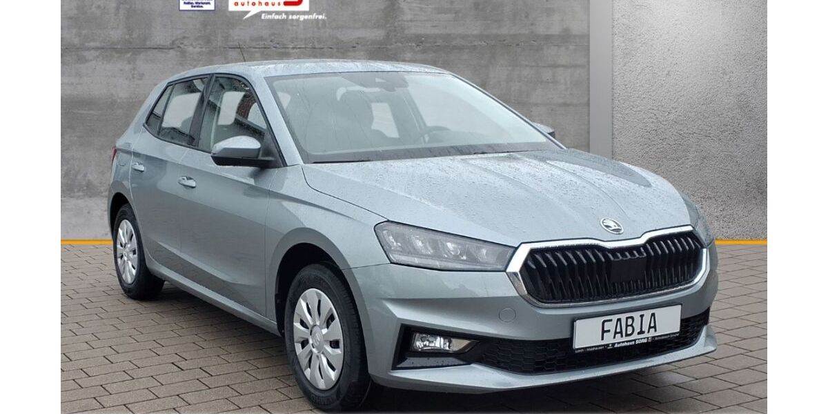 Skoda Fabia 1.115 km 18.990 &euro; Schwäbisch Gmünd 73525