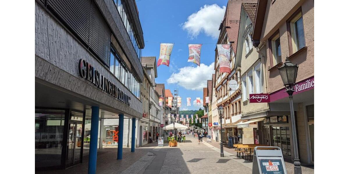 Etagenwohnung Geislingen an der Steige - 3 Zimmer, 82 m&sup2;, 900&euro; | Angebot:25960822