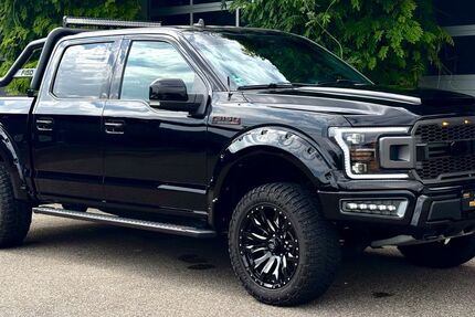 Ford F 150 48.000 km 48.900 &euro; Iggingen 73574