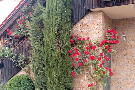 Wohnung Donzdorf - 3 Zimmer, 70 m&sup2;, 650&euro; | Angebot:25989321