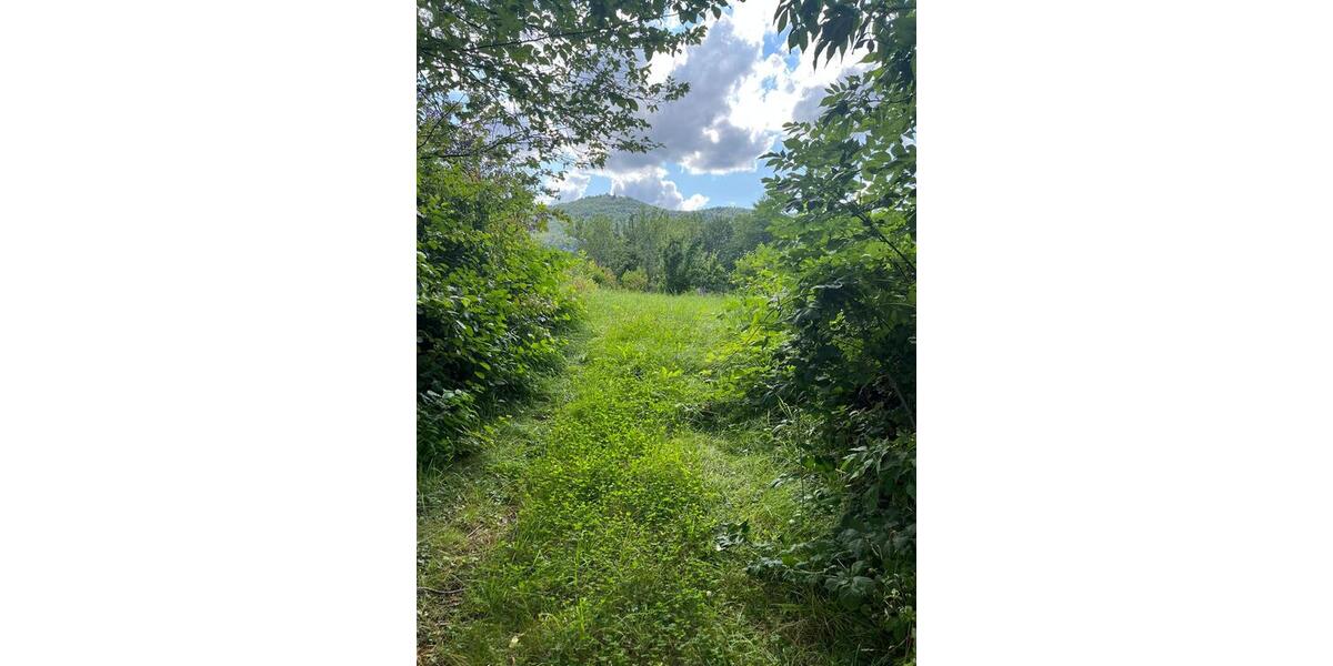 Grundstück Bissingen an der Teck Bissingen - 345.000&euro; | Angebot:25696488