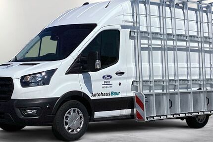 Ford Transit 8.660 km 38.840 &euro; Mutlangen 73557