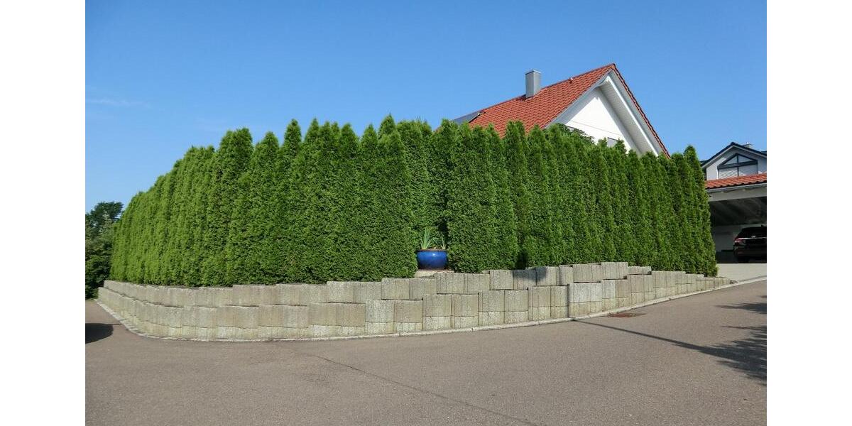 Einfamilienhaus Schwäbisch Gmünd Bargau - 4.5 Zimmer, 120 m&sup2;, 595.000&euro; | Angebot:26870741