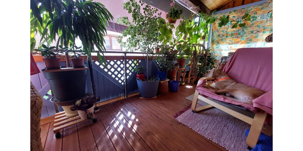 Einfamilienhaus Hülben - 5 Zimmer, 100 m&sup2;, 246.000&euro; | Angebot:25902739