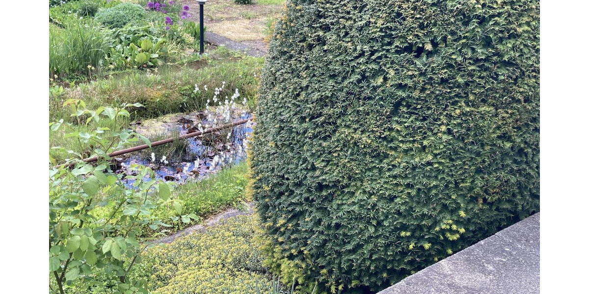 Mehrfamilienhaus, Wohnhaus Erkenbrechtsweiler - 7 Zimmer, 195 m&sup2;, 447.000&euro; | Angebot:26034280