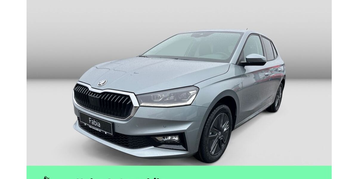 Skoda Fabia 2.500 km 23.890 &euro; Weinstadt-Endersbach 71384