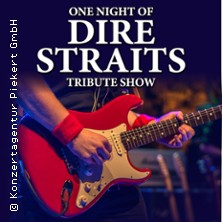 One Night of Dire Straits - Tribute Show 21.11.2026 Neckar Forum