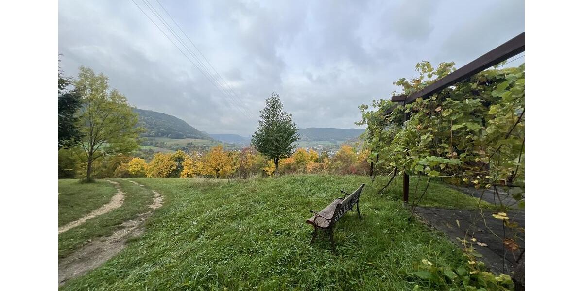 Gewerbeobjekt Deggingen - 2.950&euro; | Angebot:23649044