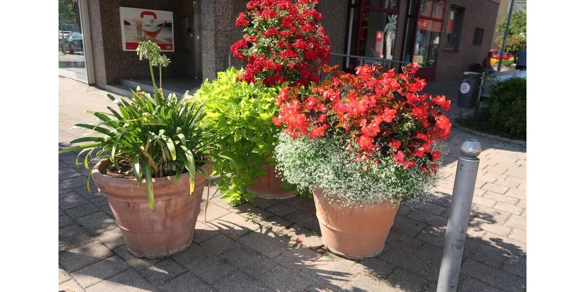 Gewerbeobjekt Ebersbach an der Fils - 450&euro; | Angebot:20858425