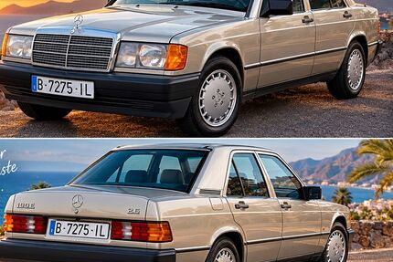 Mercedes-Benz 190 255.000 km 14.500 &euro; Eislingen 73054