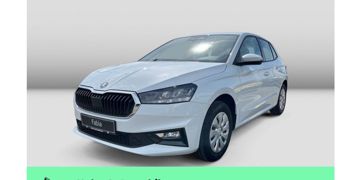 Skoda Fabia 1.111 km 18.690 &euro; Weinstadt-Endersbach 71384