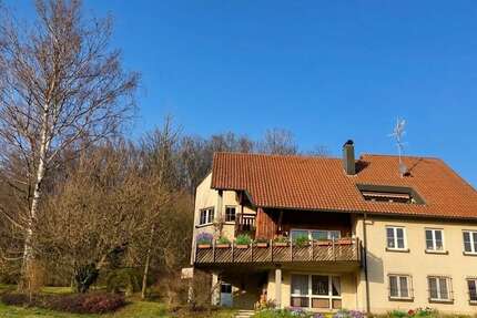 Haus Wangen - 12 Zimmer, 447 m&sup2;, 995.000&euro; | Angebot:25896502