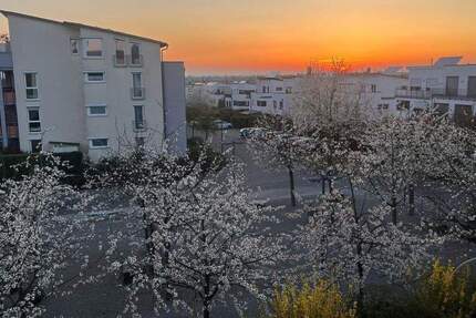 Wohnung Waiblingen Beinstein - 4 Zimmer, 118 m&sup2;, 770.000&euro; | Angebot:25760485