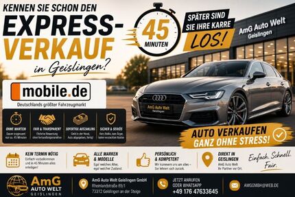 Renault ZOE 83.500 km 5.678 &euro; Geislingen an der Steige 73312