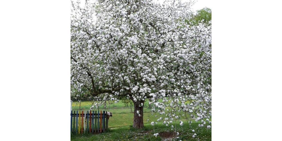 Einfamilienhaus Eislingen (Fils) - 12 Zimmer, 392 m&sup2;, 2.499.000&euro; | Angebot:25447581