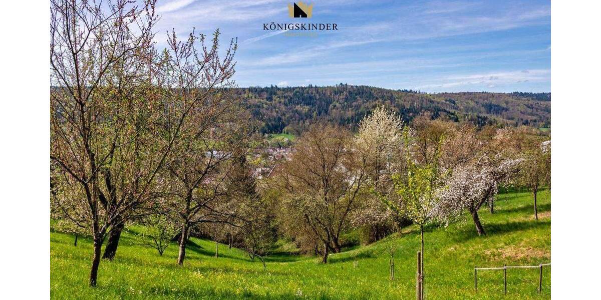 Mehrfamilienhaus, Wohnhaus Plüderhausen - 9 Zimmer, 242 m&sup2;, 698.000&euro; | Angebot:25680245