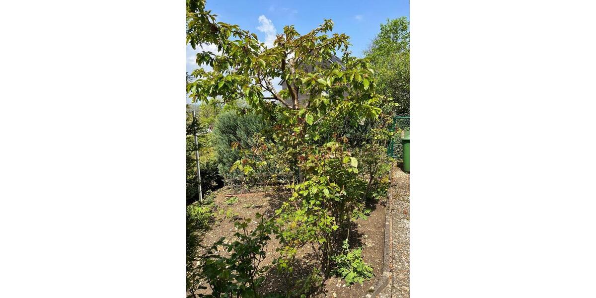 Terrassenwohnung Neuffen - 2.5 Zimmer, 103 m&sup2;, 280.000&euro; | Angebot:25831344