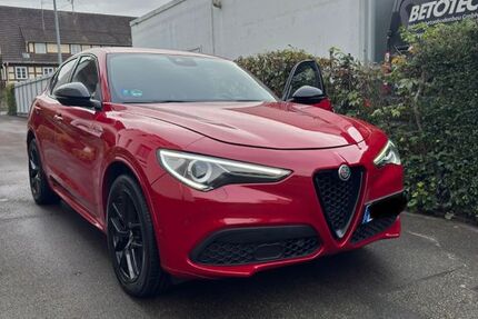 Alfa Romeo Stelvio 176.600 km 22.300 &euro; Wendlingen 73240