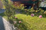 Einfamilienhaus Essingen - 3 Zimmer, 110 m&sup2;, 390.000&euro; | Angebot:27003672