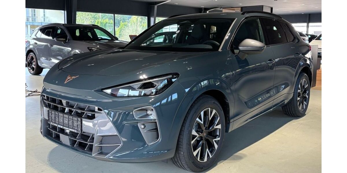 Cupra Terramar 8.000 km 40.990 &euro; Schwäbisch Gmünd 73527