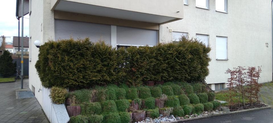 Erdgeschoßwohnung Wendlingen am Neckar - 1 Zimmer, 35 m&sup2;, 134.000&euro; | Angebot:25147975