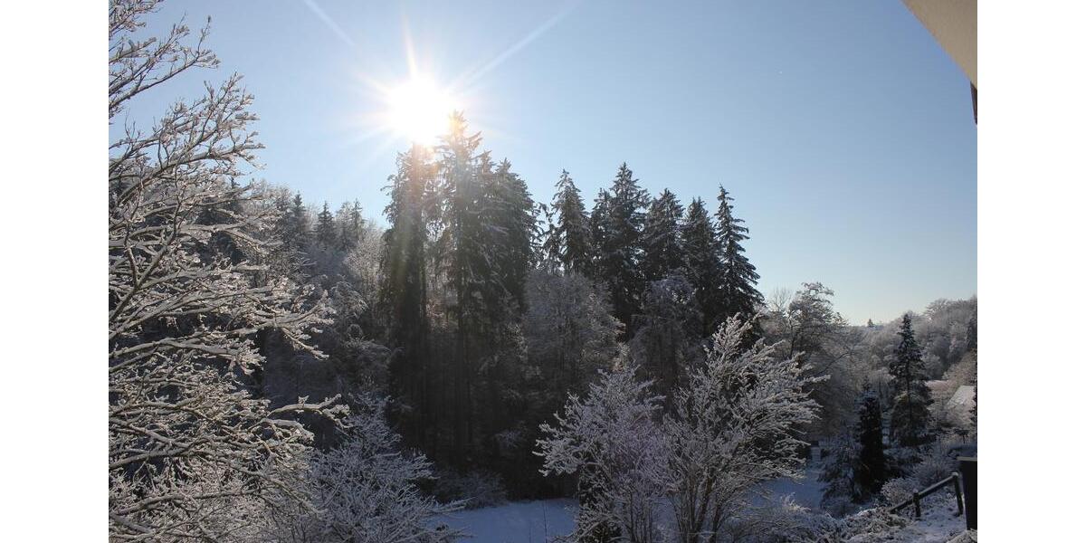 Etagenwohnung Uhingen - 2 Zimmer, 45 m&sup2;, 750&euro; | Angebot:26008066