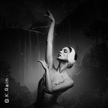 Grand Classic Ballet - Schwanensee - Jenseits der Bühne mit live Streichquartett 09.10.2026 Stadthalle Göppingen