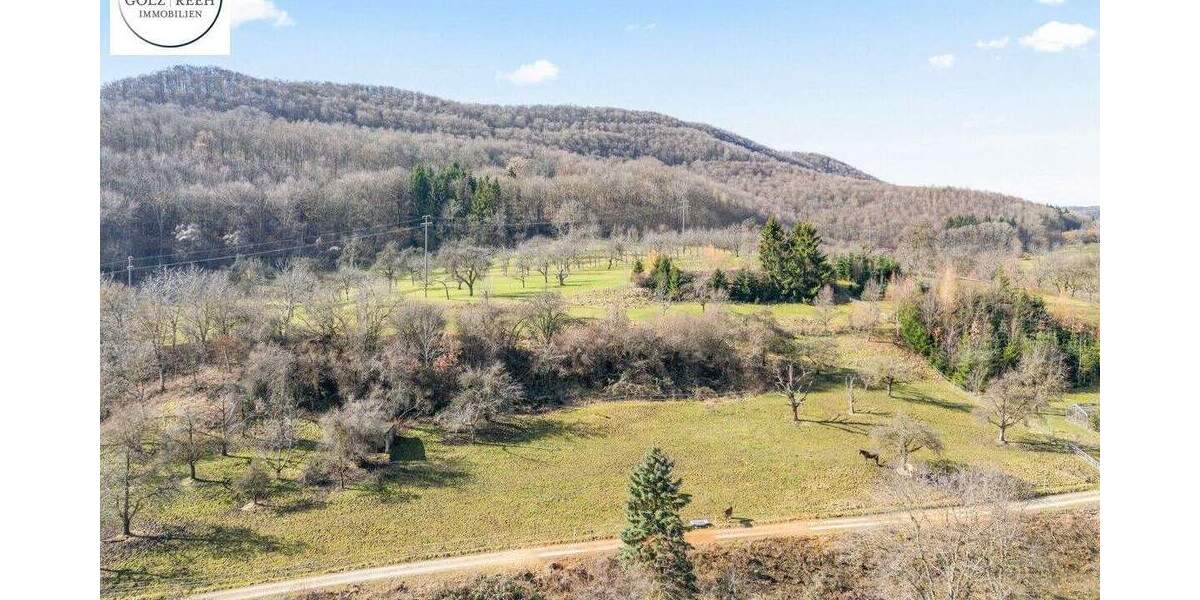 Grundstück Neidlingen - 270.000&euro; | Angebot:25775306