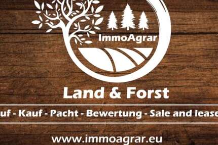 Grundstück Böhringen Böhringen - 29.900&euro; | Angebot:25055200