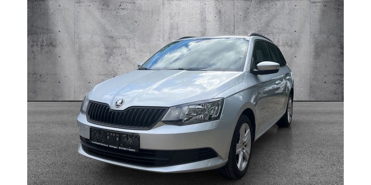 Skoda Fabia 74.000 km 9.590 &euro; Nürtingen bei Stuttgart 72622