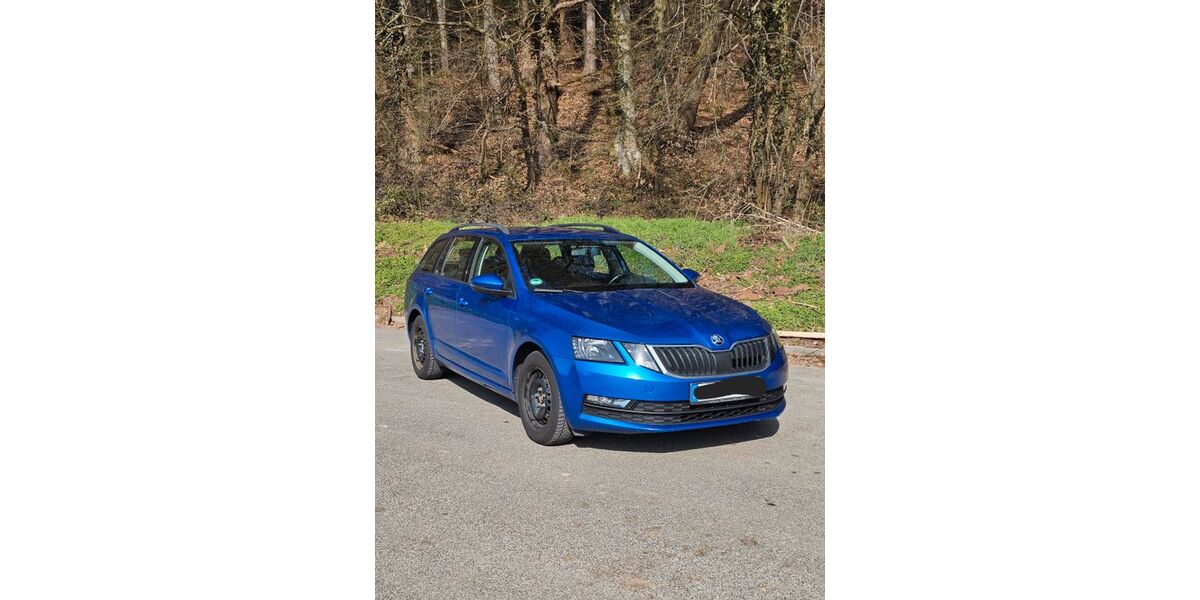 Skoda Octavia 165.000 km 9.990 &euro; Göppingen 73037
