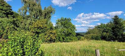 EXKLUSIVER PLATZ IN ATTRAKTIVEM WOHNORT - Grundstück Schwäbisch Gmünd Herlikofen | Angebot:25971001