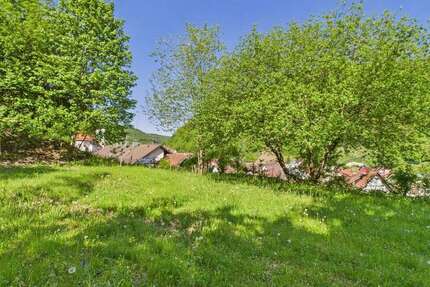 Grundstück Wiesensteig - 149.000&euro; | Angebot:23847696