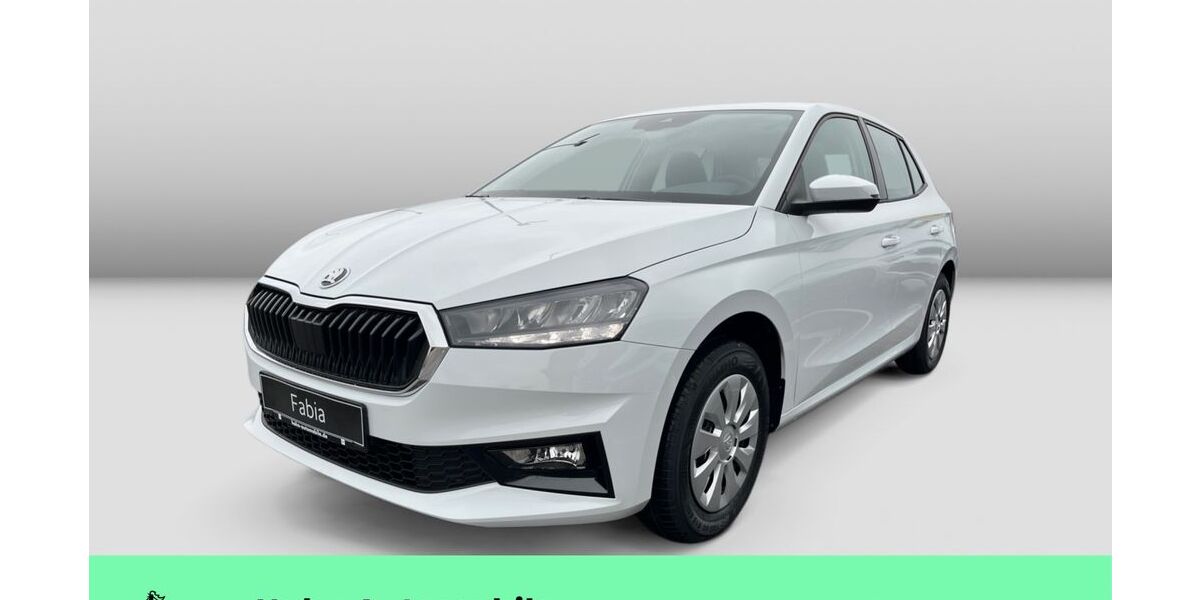Skoda Fabia 1.111 km 20.980 &euro; Weinstadt-Endersbach 71384