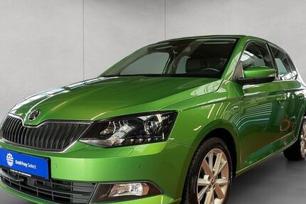 Skoda Fabia 133.362 km 6.990 &euro; Esslingen 73730