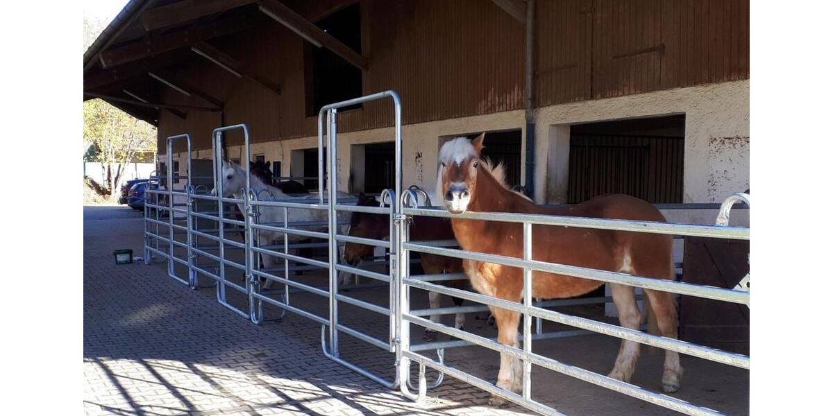 Einfamilienhaus Eislingen (Fils) - 12 Zimmer, 392 m&sup2;, 2.499.000&euro; | Angebot:25447581