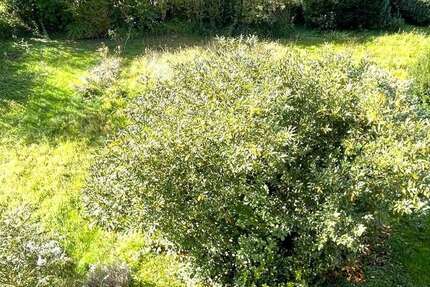 Grundstück Eislingen - 375.000&euro; | Angebot:25125877