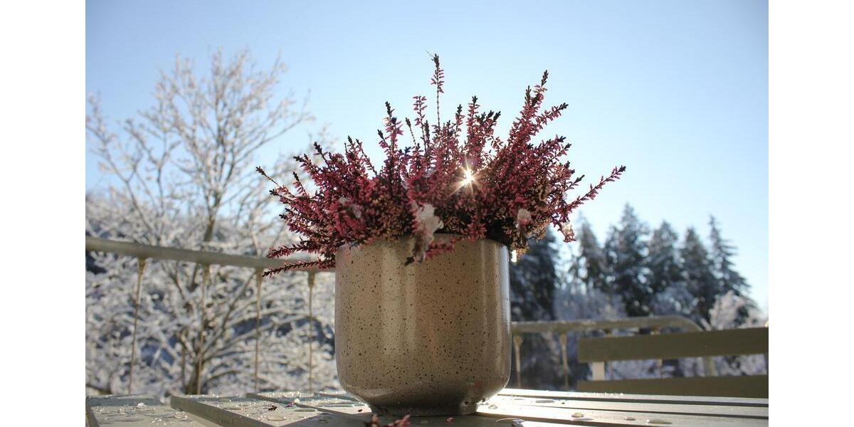 Etagenwohnung Uhingen - 2 Zimmer, 45 m&sup2;, 750&euro; | Angebot:26008066