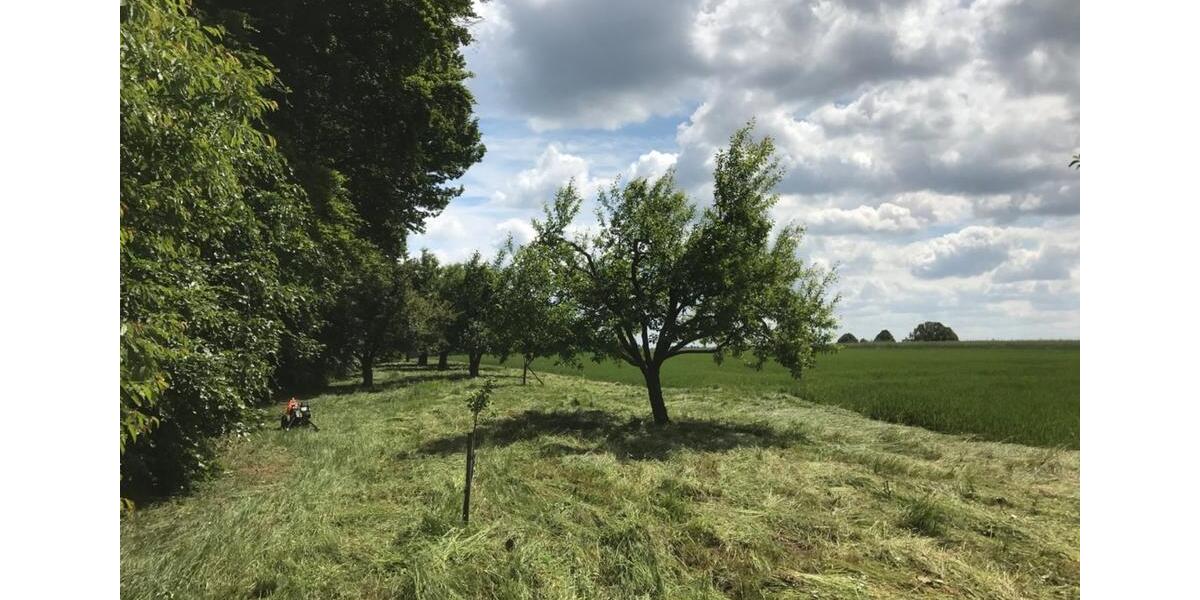 Grundstück Schorndorf - 44.990&euro; | Angebot:25174616