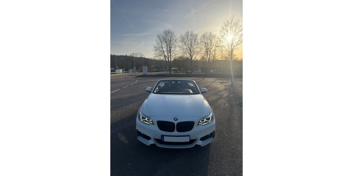 BMW 220 89.640 km 16.900 &euro; Plüderhausen 73655